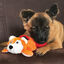 KONG - Jouet Peluche Cozie Pocketz Renard pour Chiens - M Indicateur image numéro 4