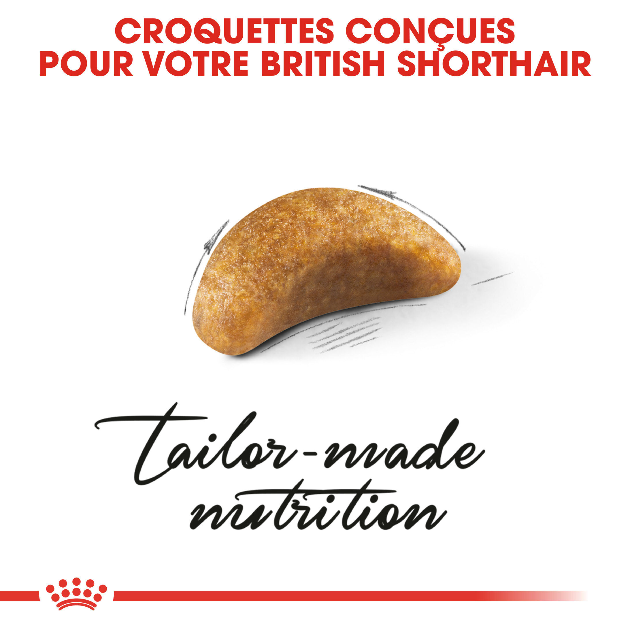 Royal Canin - Croquettes British Shorthair Kitten pour Chatons - 2Kg Image num&eacute;ro 4
