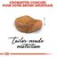 Royal Canin - Croquettes British Shorthair pour Chat Adulte - 2Kg Indicateur image numéro 4