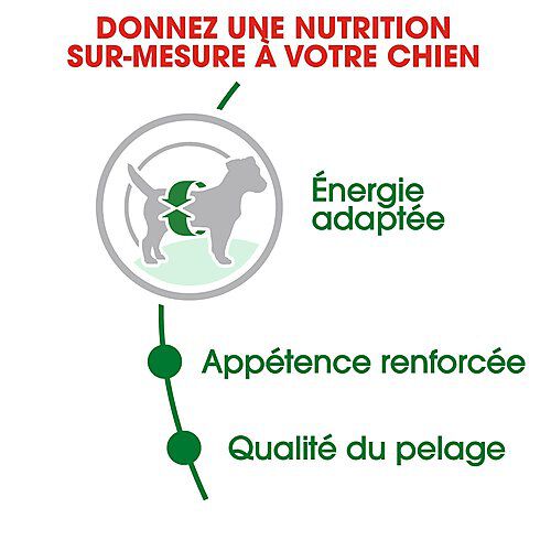 Royal Canin - Croquettes Mini Adult pour Chien de Petite Taille - 8Kg Image num&eacute;ro 3