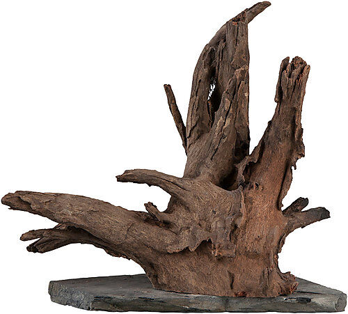 Sera - Racine Scaper Wood pour Aquarium - L Image num&eacute;ro 1