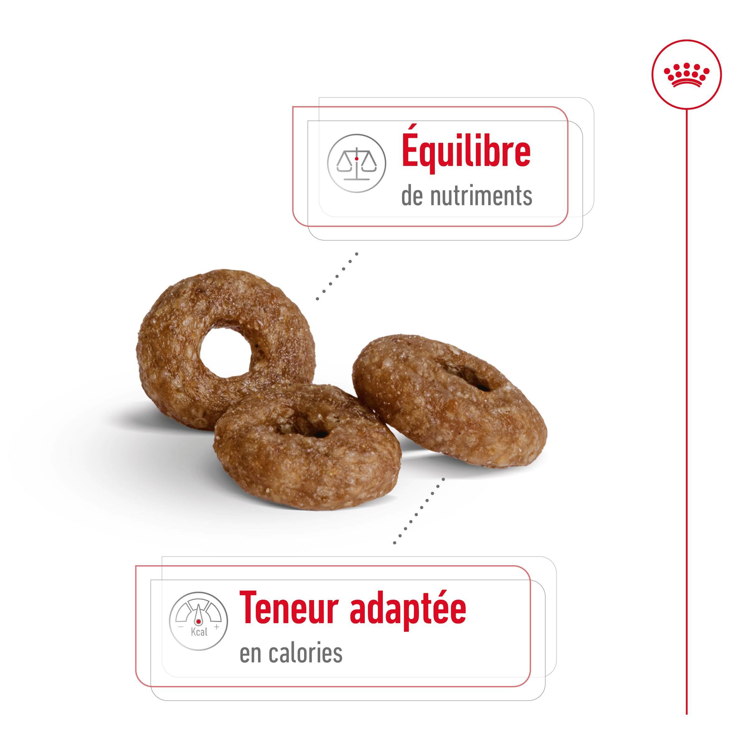 Royal Canin - Croquettes Mini Ageing 12+ pour Chien Senior - 1,5Kg Image num&eacute;ro 4