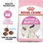 Royal Canin - Croquettes Mother & Babycat pour Chaton - 4Kg Indicateur image numéro 1