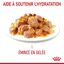 Royal Canin - Sachets Appetite Control Care en Gelée pour Chat - 12x85g Indicateur image numéro 5