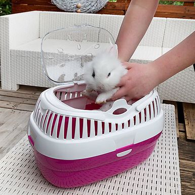 Ferplast - Transport Aladino Fuchsia pour Rongeurs - L
