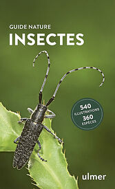 Insectes - Guide nature