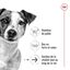 Royal Canin - Croquettes Mini Ageing 12+ pour Chien Senior - 1,5Kg Indicateur image numéro 3