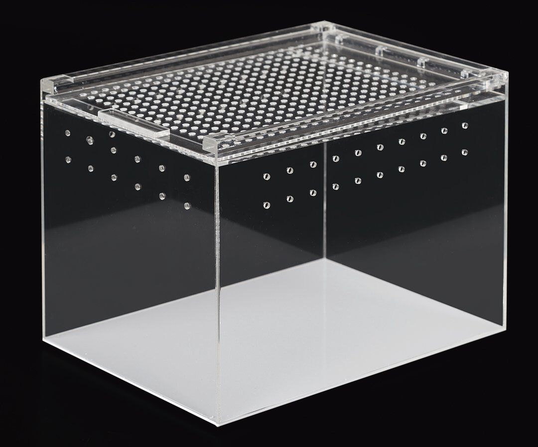 Reptizoo - Terrarium Acrylique Transparent - 20x15x15cm Image num&eacute;ro 1