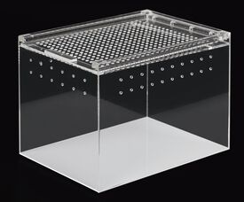 Reptizoo - Terrarium Acrylique Transparent - 20x15x15cm