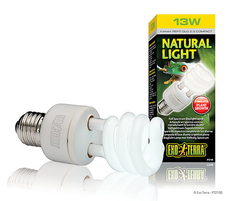 Exo Terra - Ampoule Natural Light Fluocompact pour Terrarium - 13W image number null