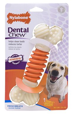 Nylabone - Jouet Os Dental Chew Pro-Action pour Chien