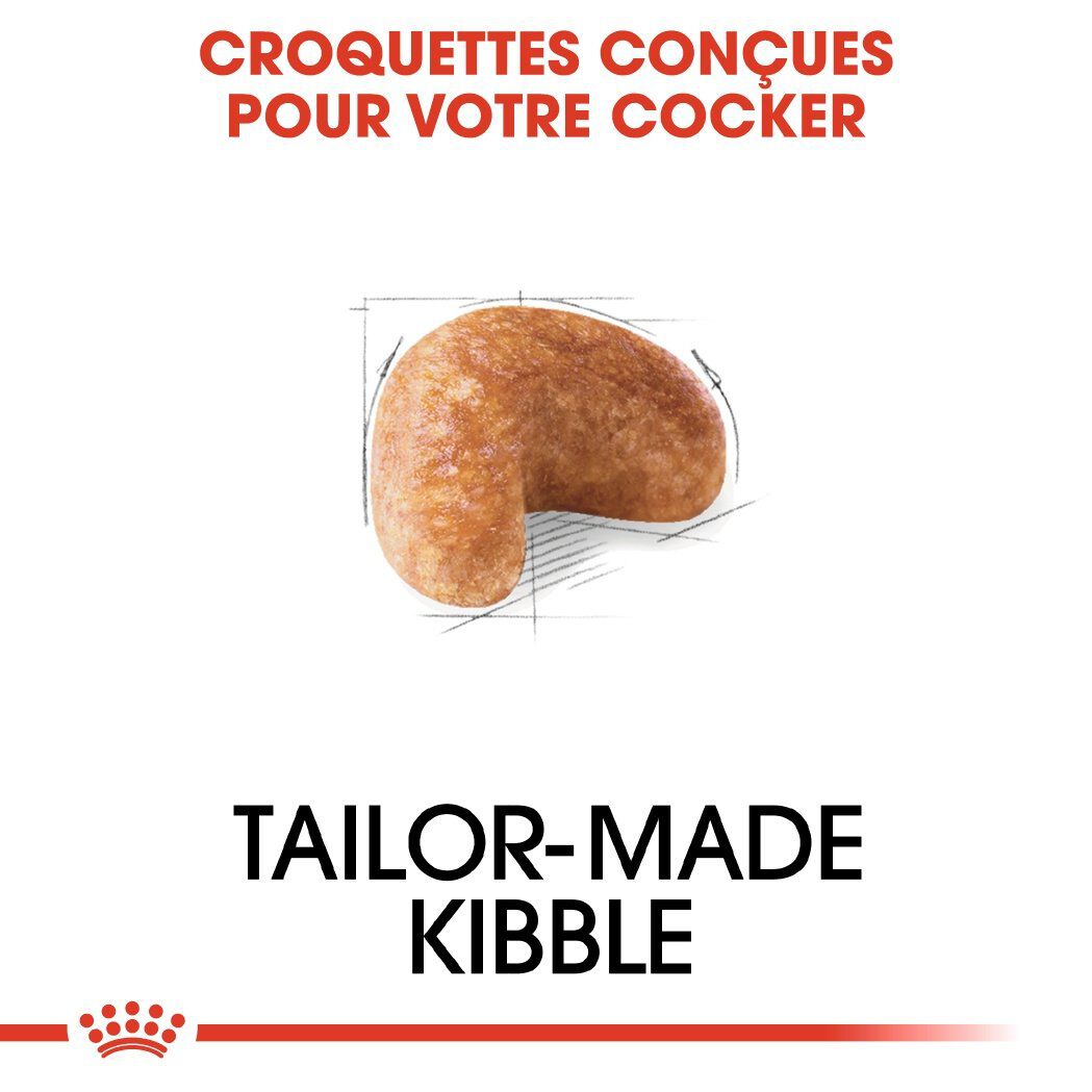 Royal Canin - Croquettes Cocker pour Chien Adulte - 3Kg Image num&eacute;ro 4