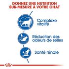 Royal Canin - Croquettes Indoor 7+ pour Chat Senior - 400g image number null