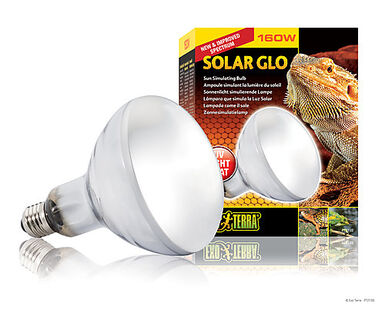 Exo Terra - Ampoule Solar Glo pour Terrarium Reptile - 160W