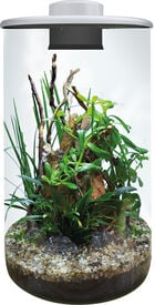 BioArt - Terrarium Cylinder 285 Led 4L pour Plantes