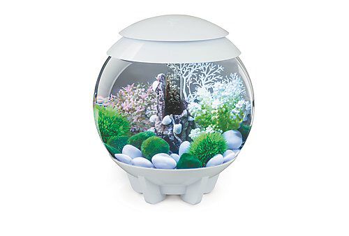 biOrb - Aquarium Halo - 15 mcr blanc Image num&eacute;ro 1