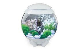 biOrb - Aquarium Halo - 15 mcr blanc