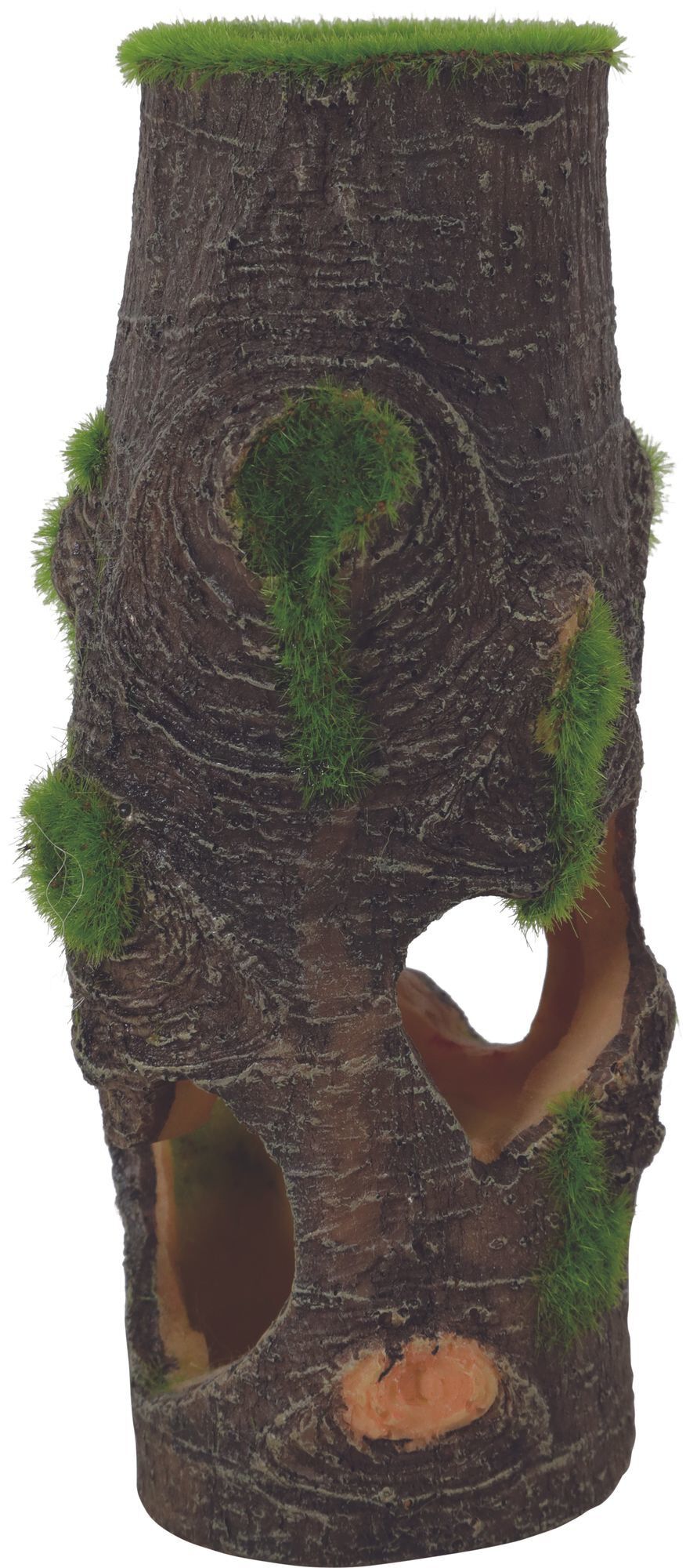 Zolux - D&eacute;coration Artificielle Tronc Kipouss pour Aquarium - MM Image num&eacute;ro 1