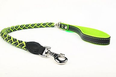 Yogipet - Laisse en Cuir Tressé 120cm pour Chien - Vert