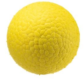 Ferplast - Balle Chewa Boing Jaune pour Chiens - L