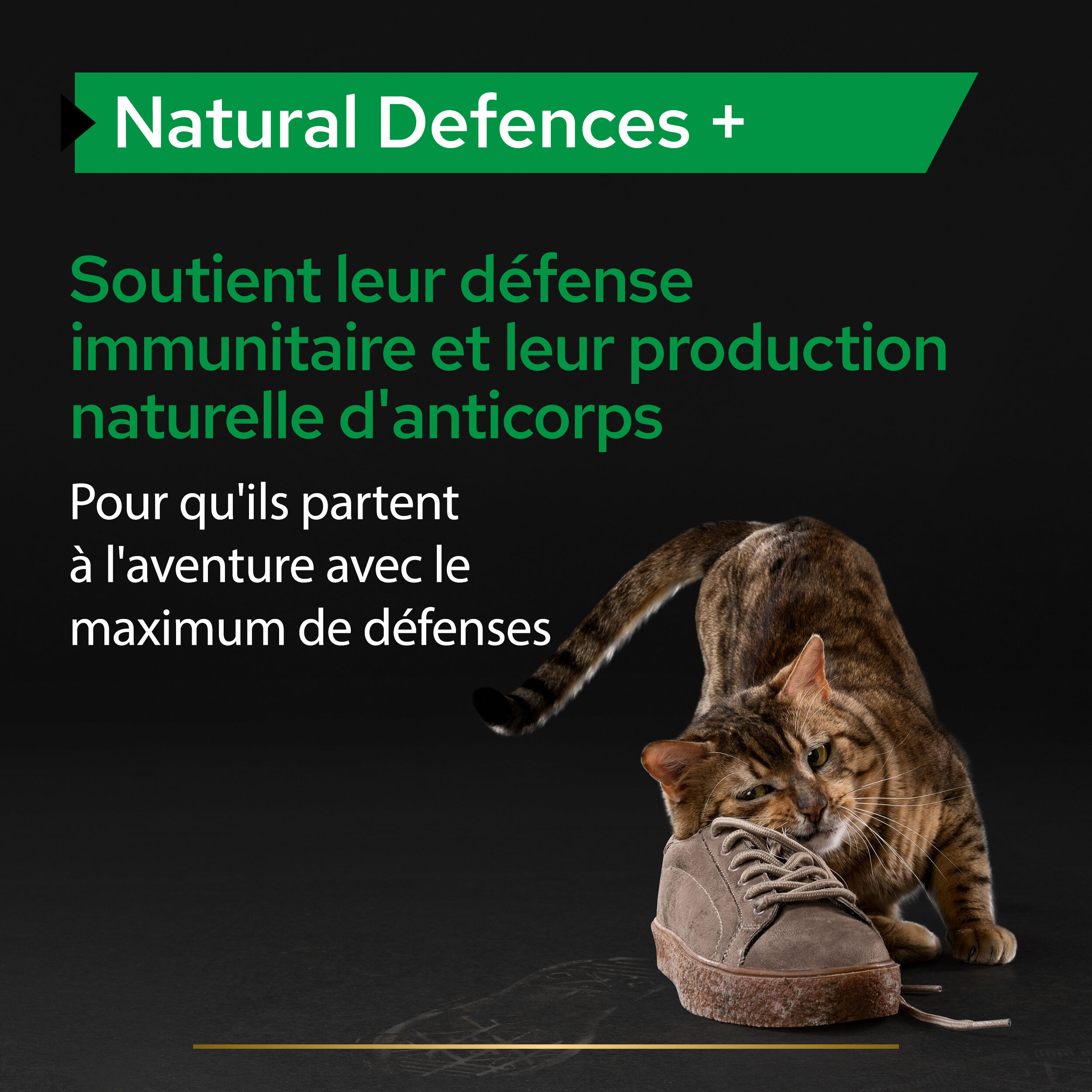 Pro Plan - Aliment Compl&eacute;mentaire Natural Defences+ en Poudre pour Chats - 60g Image num&eacute;ro 5