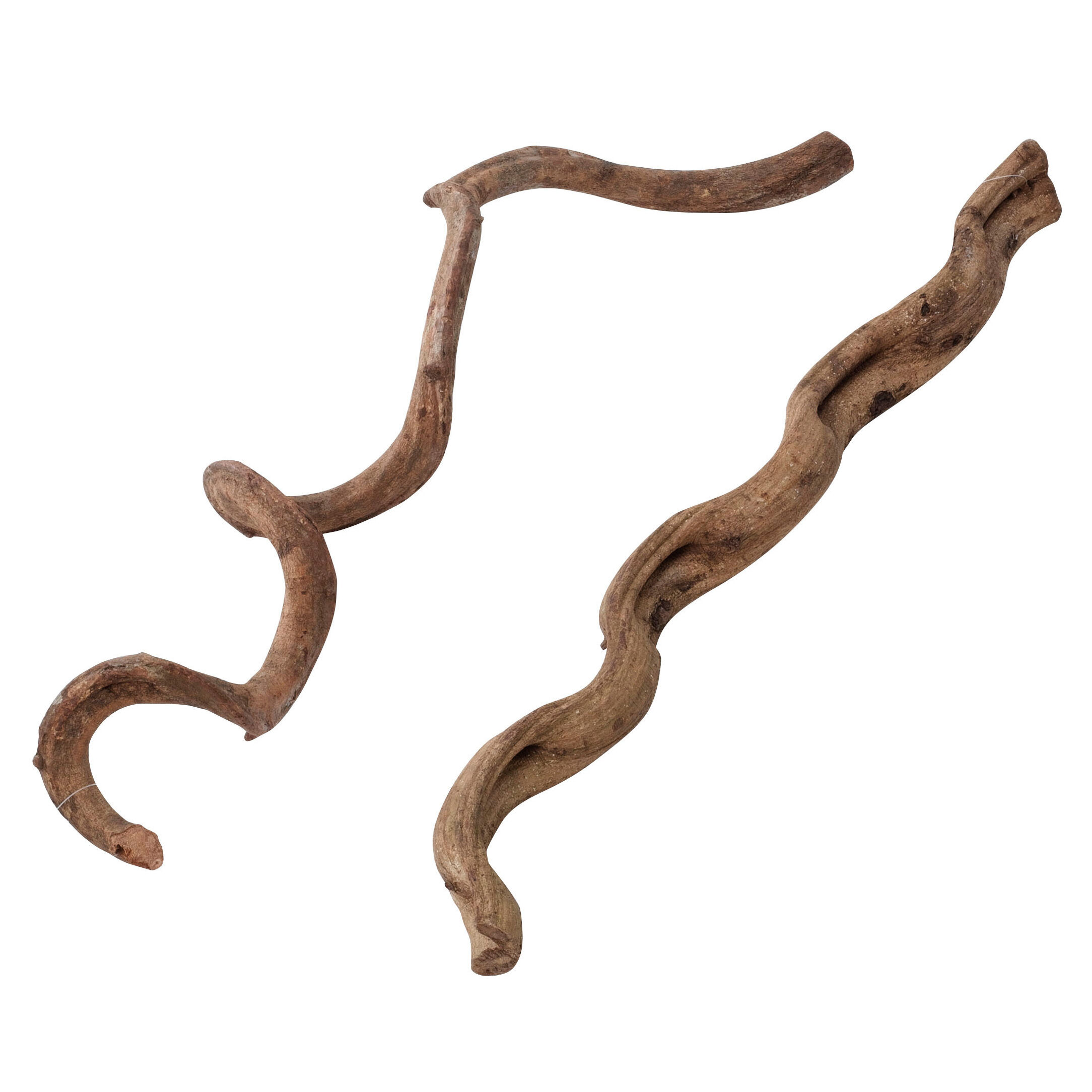Terra Della - D&eacute;coration Lianes pour Terrarium - S/75cm Image num&eacute;ro 1