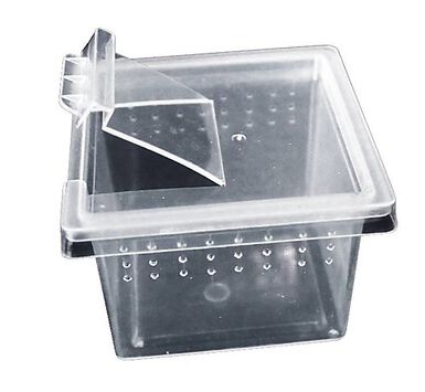 Reptiles Planet - Boite Elevage Reptiles ou Insectes XS  - 6,8x6,8x4,5cm