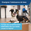 PetSafe - Syst&egrave;me d'Aide &agrave; l'Education pour Chiens - 300m Indicateur image num&eacute;ro 7