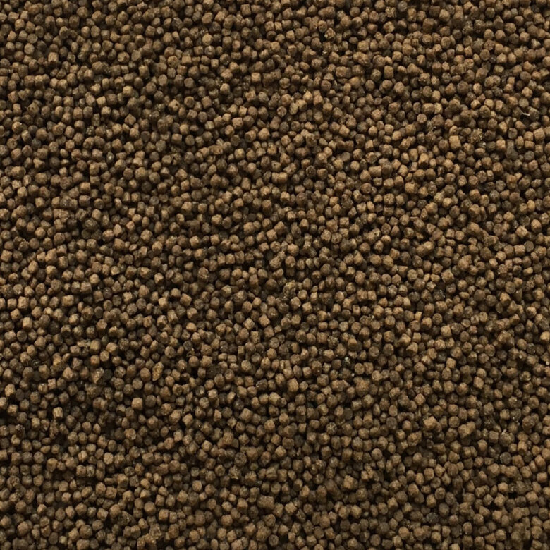 Amtra - Aliment Pro Natural Gran Soft - 250ml Image numéro 2 Amtra - Aliment Pro Natural Gran Soft - 250ml Image numéro 2