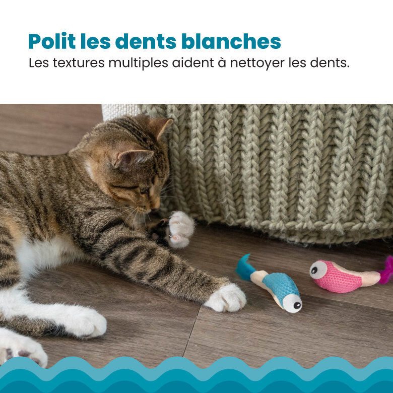 Outward Hound - Jouet &agrave; M&acirc;cher Dental Shrimpies pour Chats - x2 Image num&eacute;ro 5