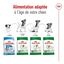 Royal Canin - Croquettes Mini 8+ pour Chien Adulte - 4Kg Indicateur image numéro 4