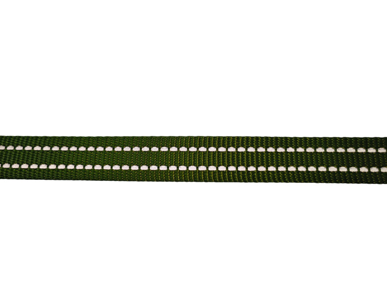 Gotoo - Collier en Nylon Premium Vert pour Chien - XS Image numéro 4 Gotoo - Collier en Nylon Premium Vert pour Chien - XS Image numéro 4