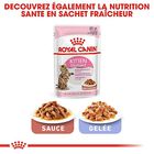 Royal Canin - Croquettes Kitten Sterilised pour Chaton - 400g image number null