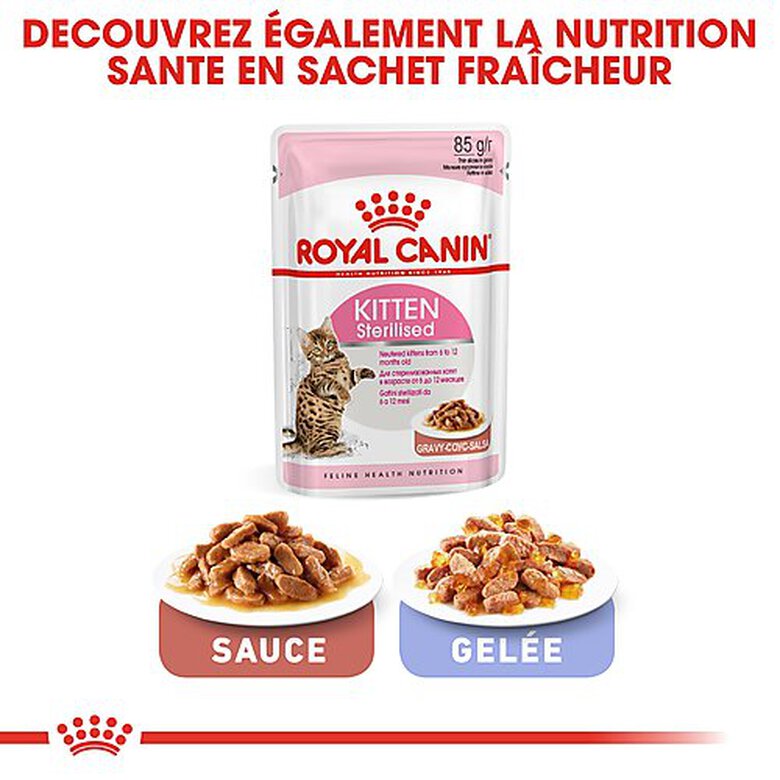 Royal Canin - Croquettes Kitten Sterilised pour Chaton - 400g image number null