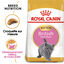 Royal Canin - Croquettes British Shorthair Kitten pour Chatons - 2Kg Indicateur image numéro 1