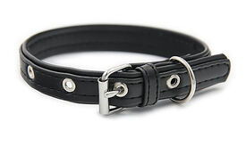 Matteo - Collier Cuir de Cactus Noir pour Chiens