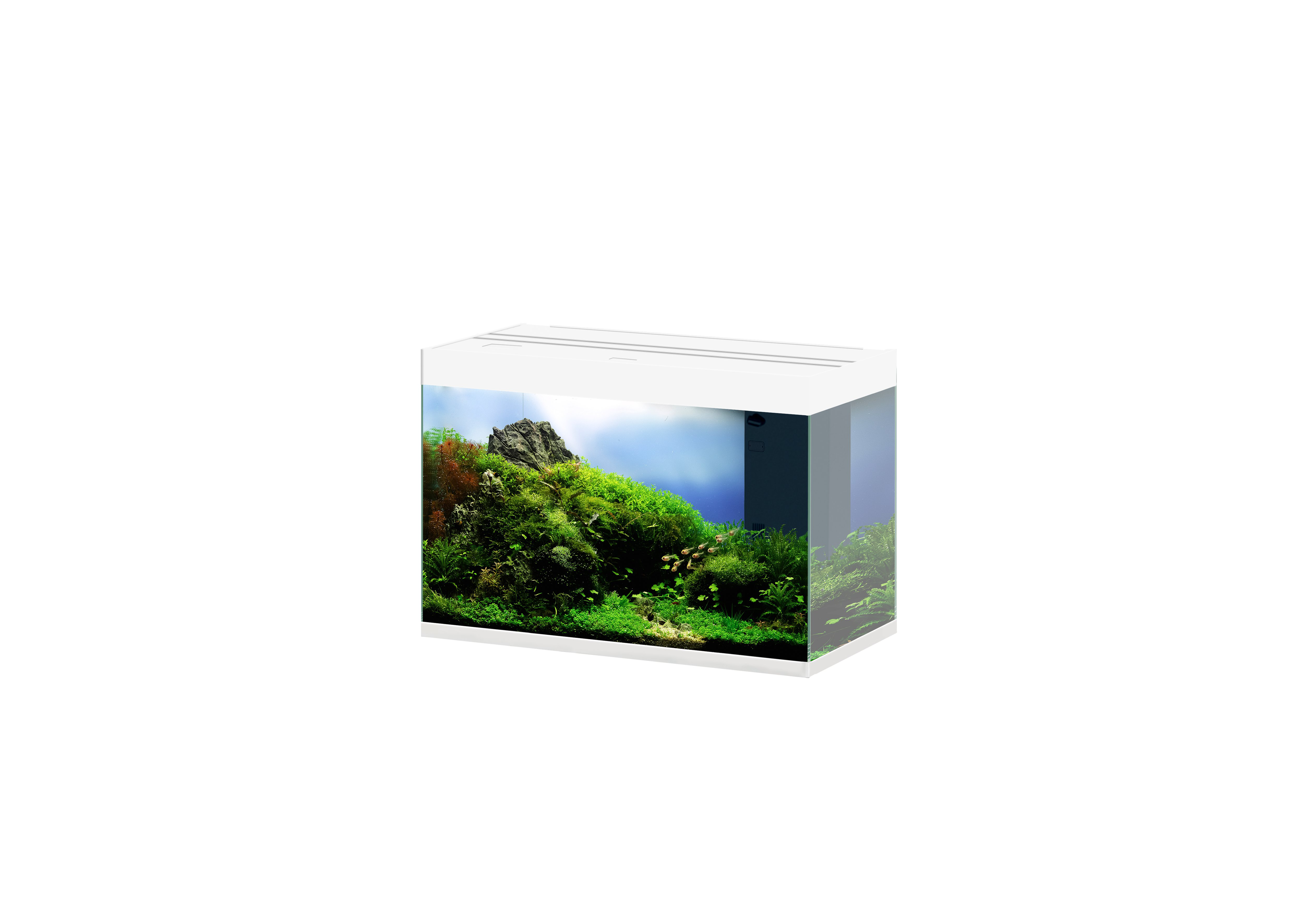 Ciano - Aquarium Emotions Nature Pro 80 - Blanc Image num&eacute;ro 1