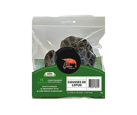 Gioiashrimp -  Cachette Naturelle Gousse de Lotus - x2