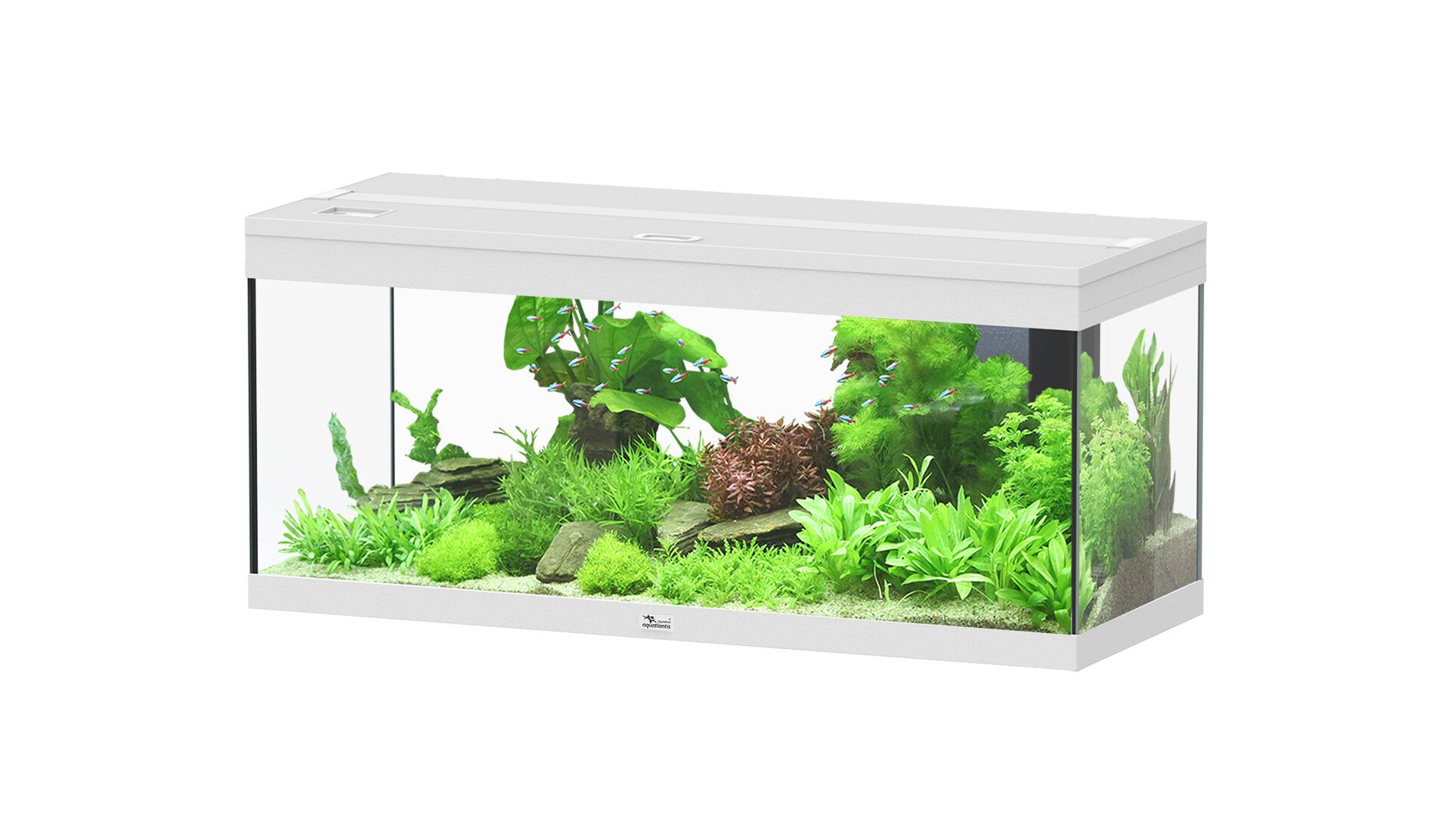Aquatlantis - Aquarium Prestige 100 - Blanc Led 2.0 EQP Image num&eacute;ro 1