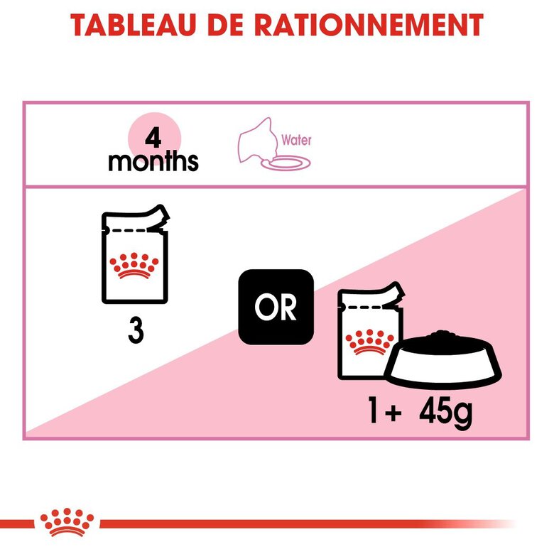 Royal Canin - Sachets Kitten en Mousse pour Chaton - 12x85g Image numéro 6 Royal Canin - Sachets Kitten en Mousse pour Chaton - 12x85g Image numéro 6