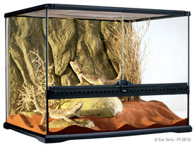Exo Terra - Terrarium en Verre pour Reptile - 60x45x45cm