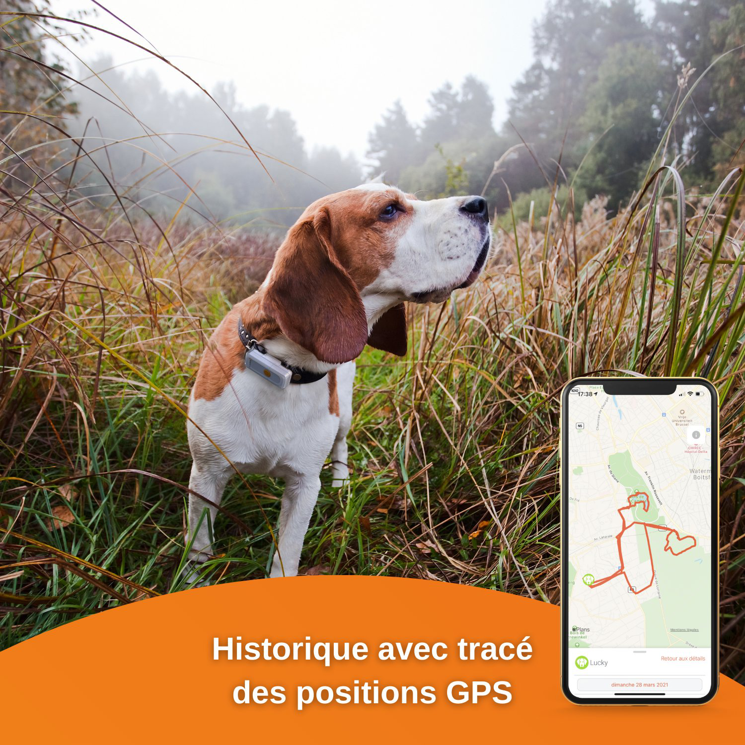 Weenect Dogs 2 - Collier GPS Connect&eacute; pour Chien Image num&eacute;ro 7