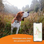 Weenect Dogs 2 - Collier GPS Connect&eacute; pour Chien Indicateur image num&eacute;ro 7