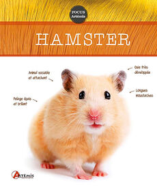 Artémis - Hamster
