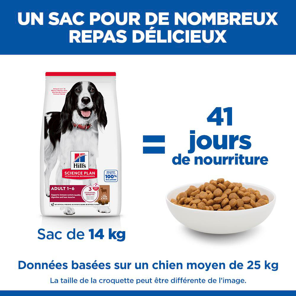 Hill's Science Plan - Adult Croquettes Pour Chien A L'agneau Et Riz  - 12kg Image num&eacute;ro 14