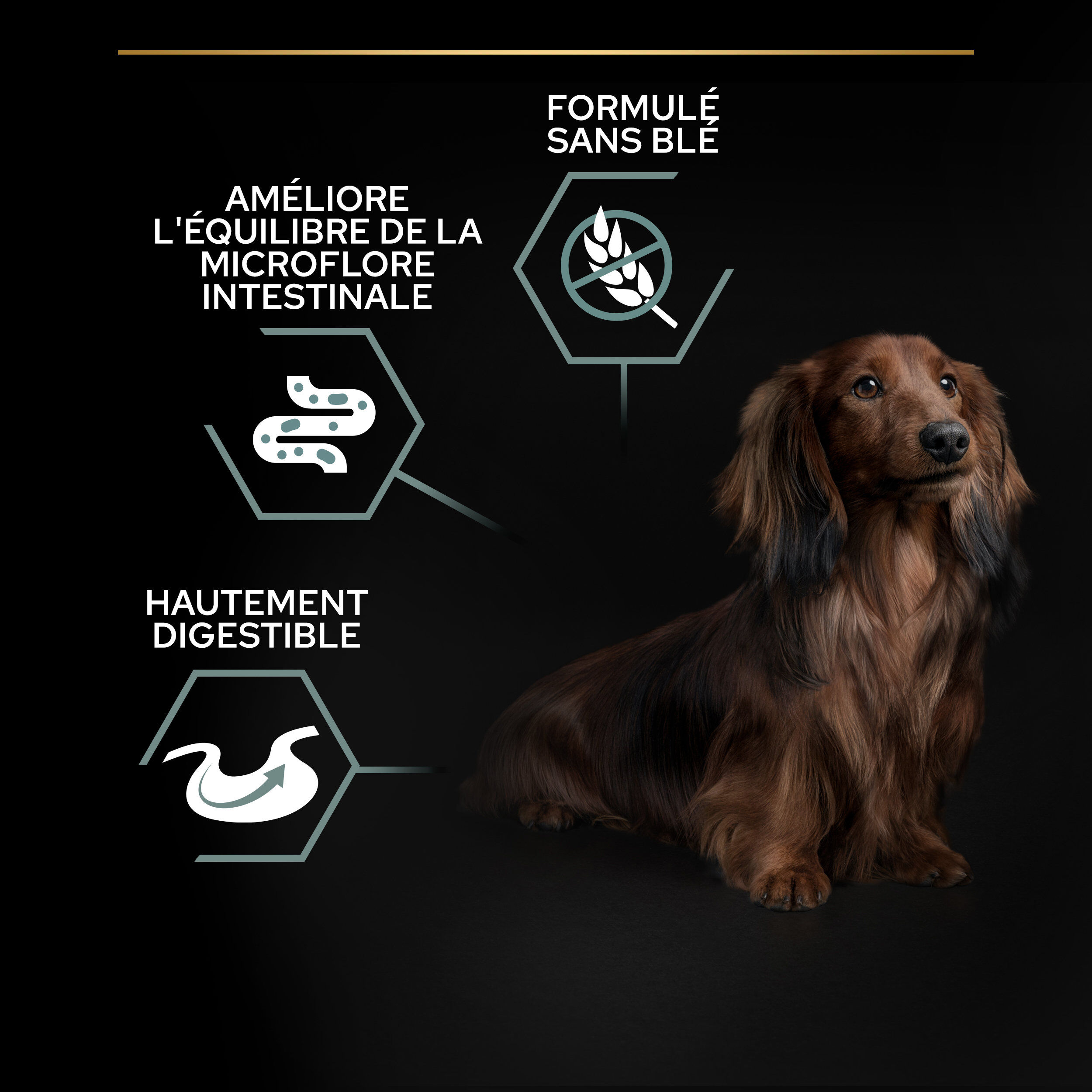 Pro Plan - Croquettes OPTIDIGEST Small & Mini Adult Sans C&eacute;r&eacute;ales Dinde pour Chien - 7Kg Image num&eacute;ro 7