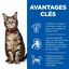 Hill's Science Plan Adult croquettes pour chat au poulet 15kg Indicateur image numéro 3
