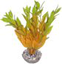 Labeo - Dracaena coloré - Plante Artificielle Aquarium Indicateur image numéro 6