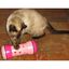 Pipolino - Jouet Distributeur de Croquettes PIPOLINO M pour Chats - Blanc Indicateur image numéro 2