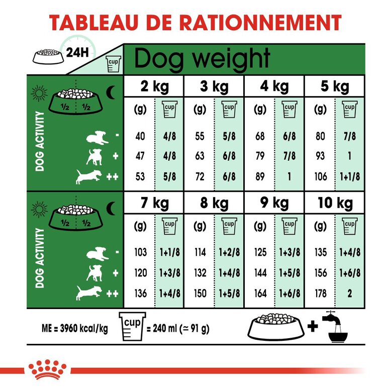 Royal Canin - Croquettes Mini Adult pour Chien de Petite Taille - 4Kg Image numéro 5 Royal Canin - Croquettes Mini Adult pour Chien de Petite Taille - 4Kg Image numéro 5